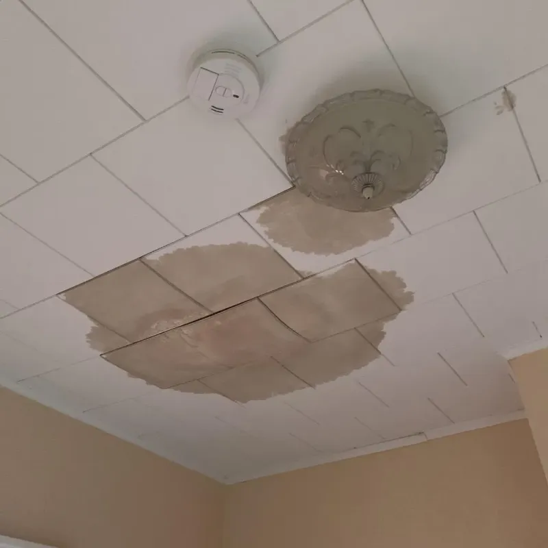 Ceiling Water Damage Repair in Lubeck, WV