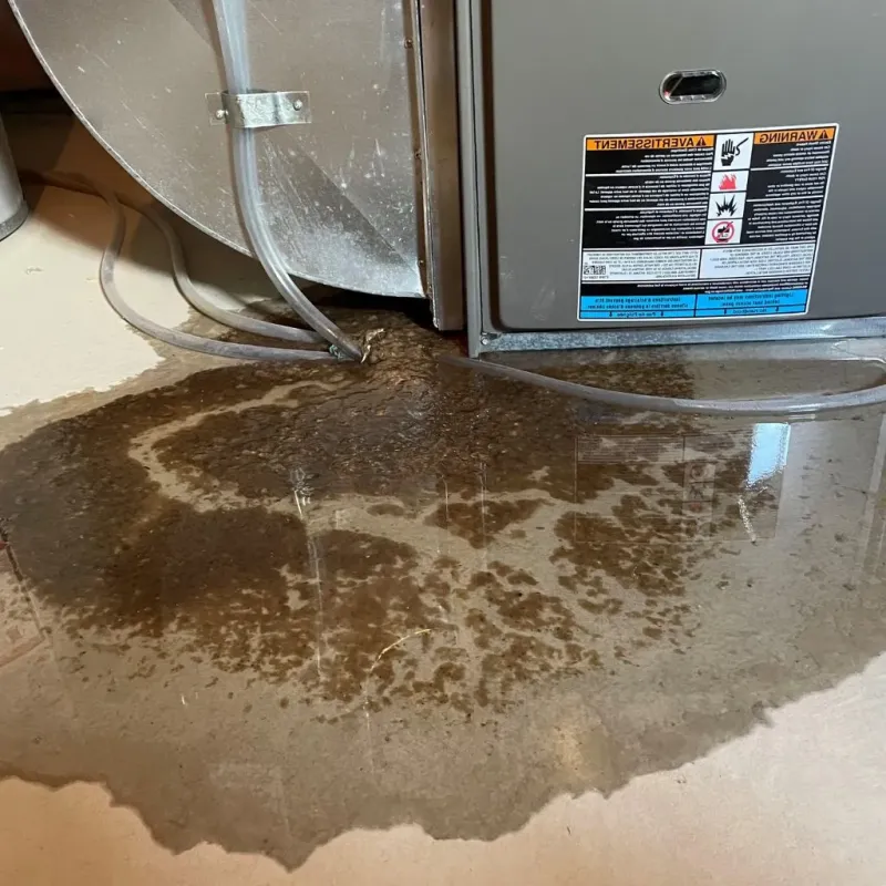 Pipe Burst and Leak Restoration in Lubeck, WV