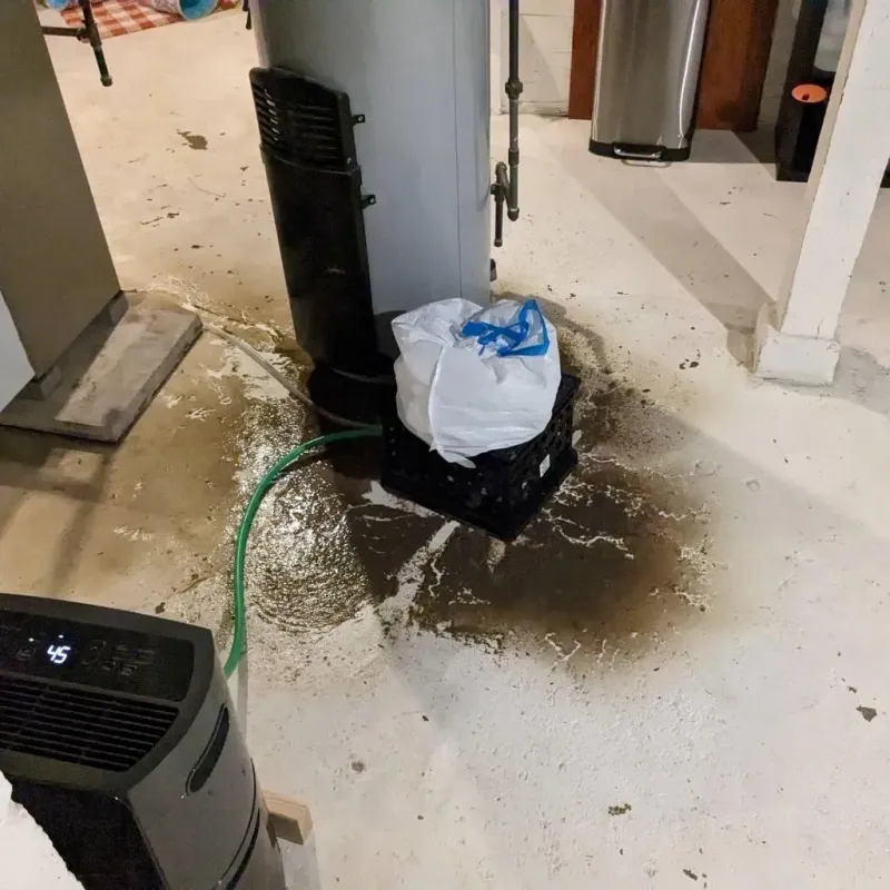 Sewage Backup Cleanup Service in Lubeck, WV